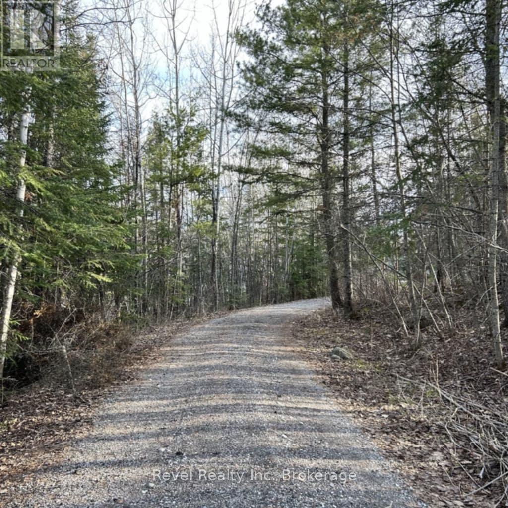 297 Nickel Lake Shores Road, Fort Frances, Ontario  P9A 3M3 - Photo 12 - X12121212