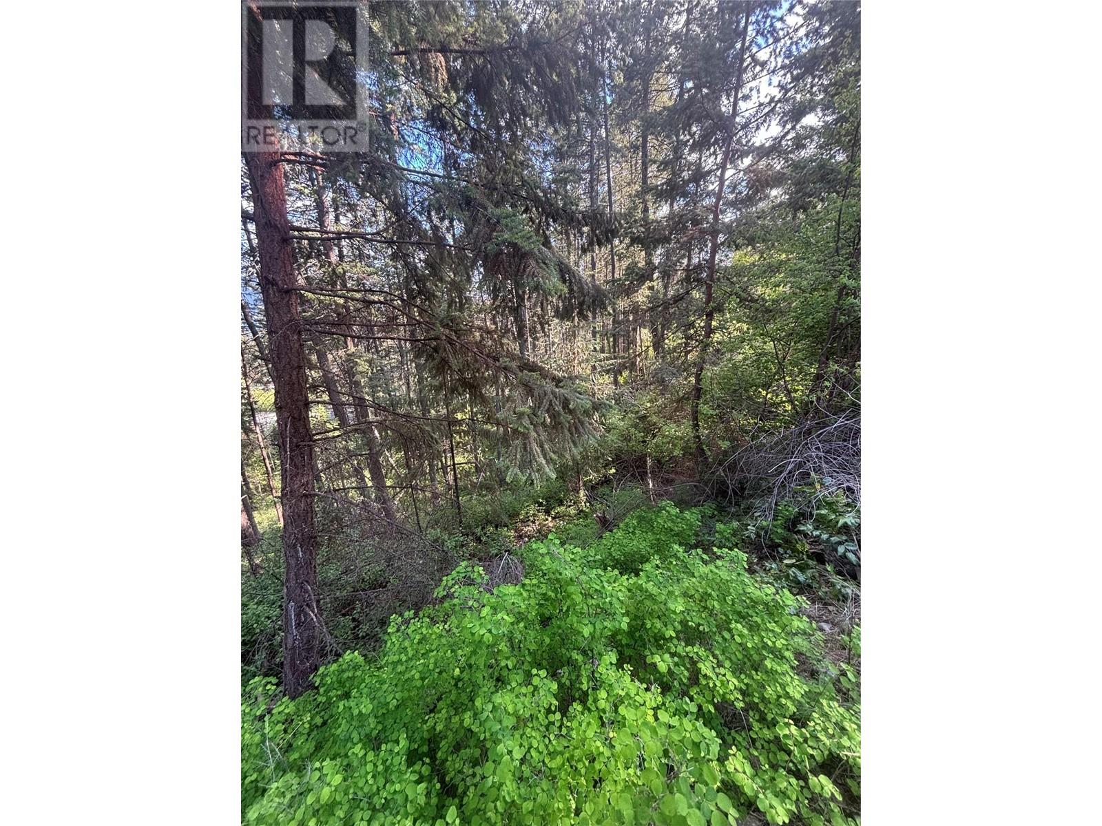 9505 Keithley Road Lot# 143, Vernon, British Columbia  V1H 2E5 - Photo 8 - 10345522