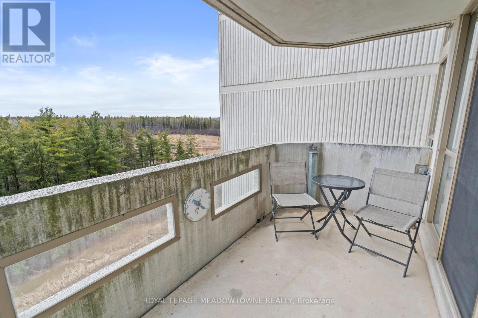 602 - 20 Mcfarlane Drive, Halton Hills (Georgetown), Ontario  L7G 5J8 - Photo 28 - W12121262