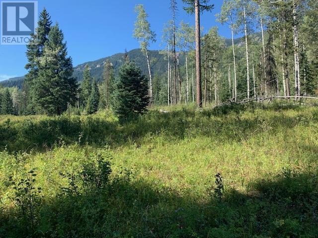 8412 Kaisner Road Lot# Dl 8450, Elk Valley, British Columbia  V0B 2G3 - Photo 36 - 10346151