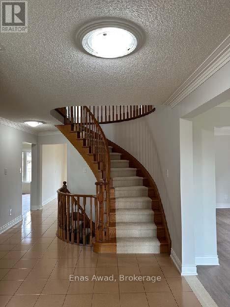 25 Mulholland Avenue, Toronto, Ontario  M6A 2S1 - Photo 7 - W12118321