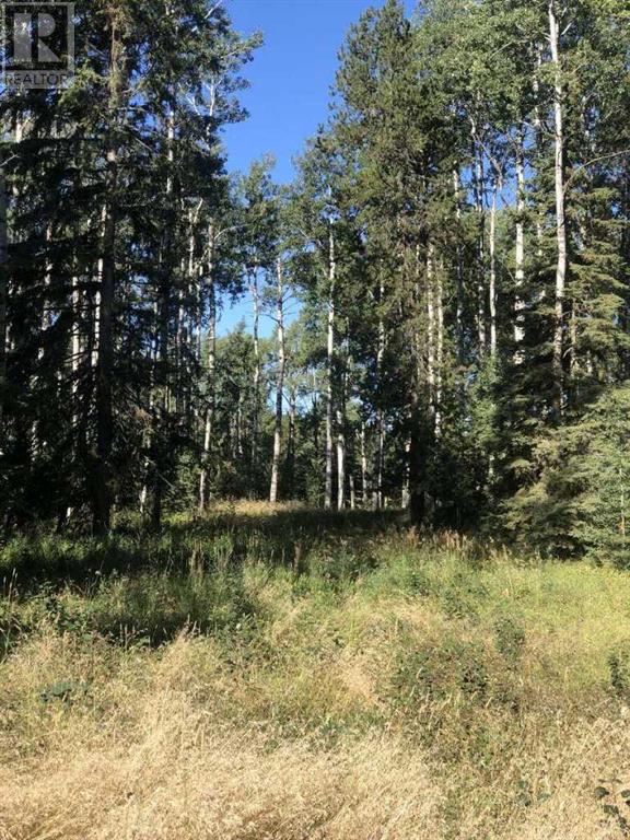 344048 Range Road 4-5, Rural Clearwater County, Alberta  T4G 0L9 - Photo 9 - A2217297