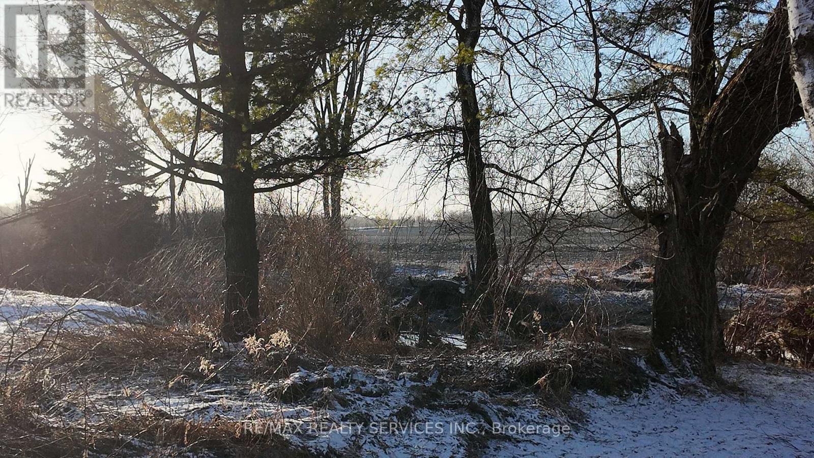 126022 Southgate Road 12, Southgate, Ontario  N0C 1B0 - Photo 3 - X12121484