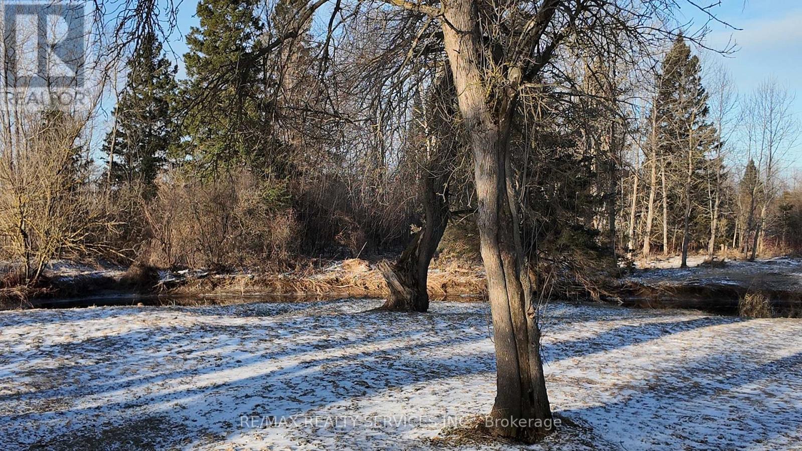 126022 Southgate Road 12, Southgate, Ontario  N0C 1B0 - Photo 4 - X12121484