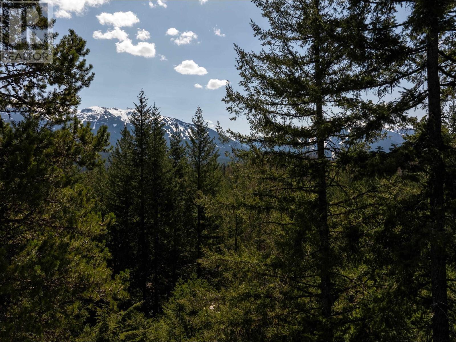 8214 Mountain View Drive, Whistler, British Columbia  V8E 0G3 - Photo 6 - R2997685