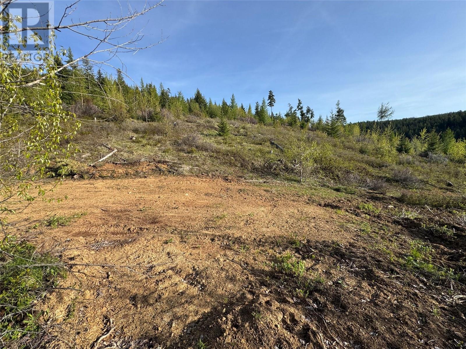 4285 Brewer Creek Road, Lavington, British Columbia  V1B 3C1 - Photo 9 - 10346181
