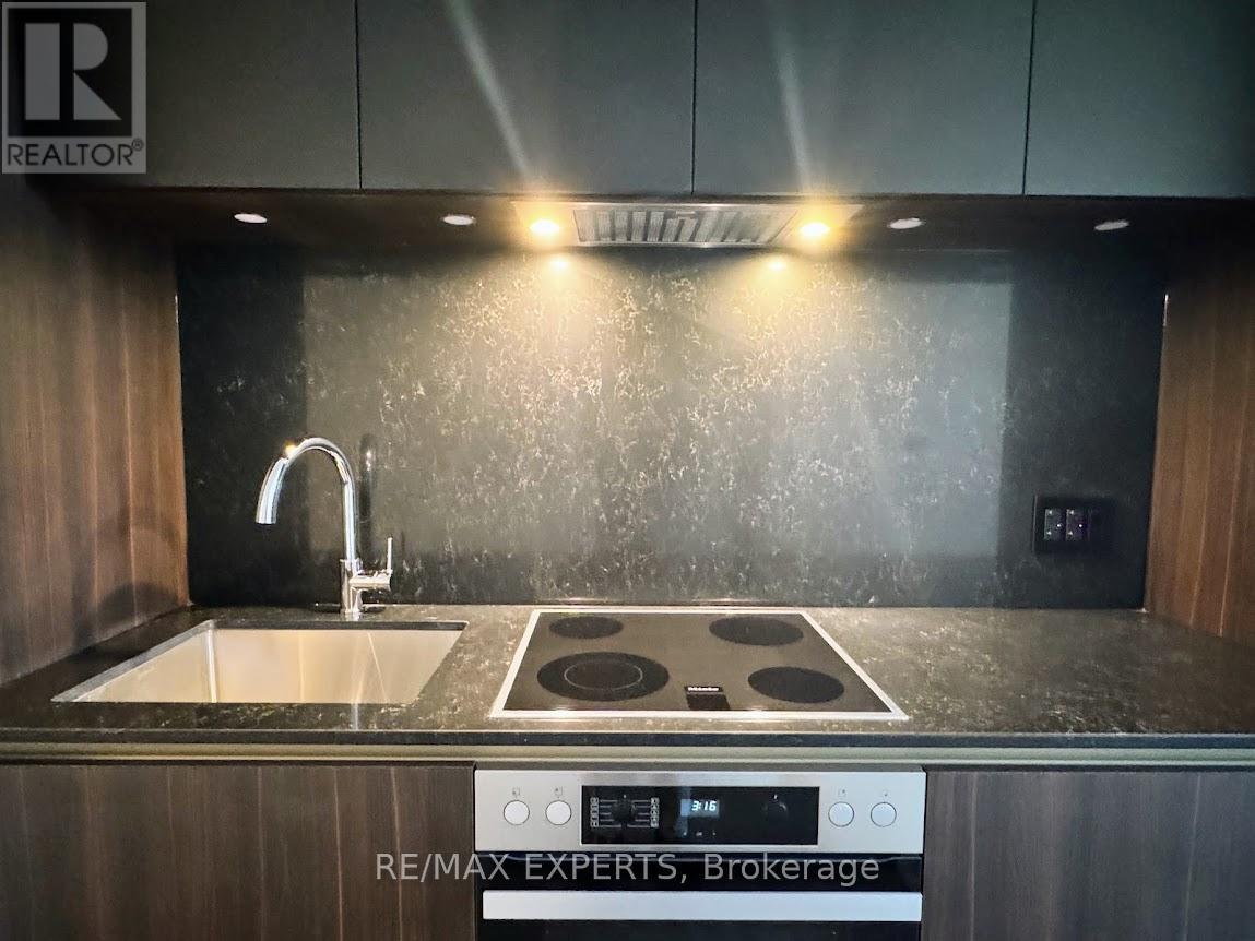 716 - 15 Mercer Street, Toronto, Ontario  M5V 1H2 - Photo 7 - C12115449