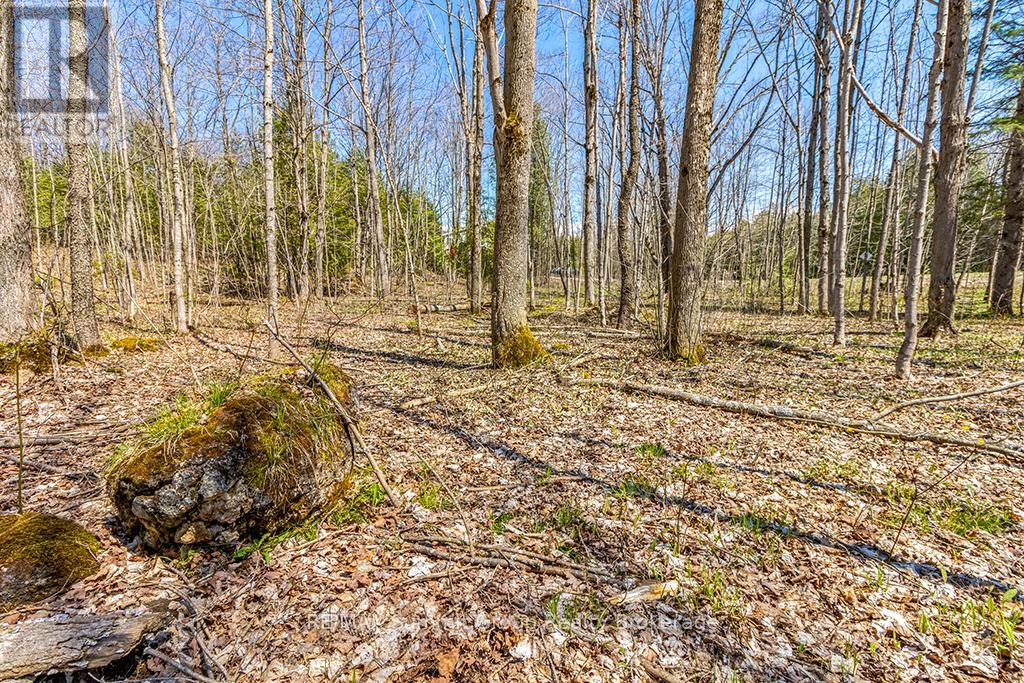 Lot 6 10th Concession, Grey Highlands, Ontario  N0C 1E0 - Photo 16 - X12121537