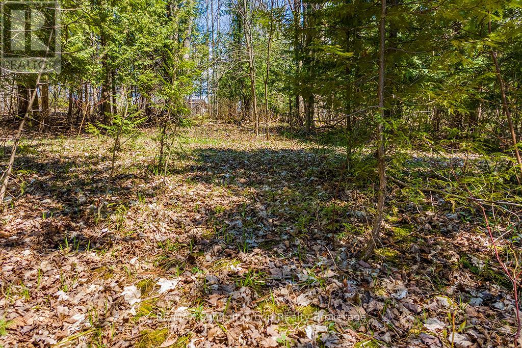 Lot 6 10th Concession, Grey Highlands, Ontario  N0C 1E0 - Photo 6 - X12121537