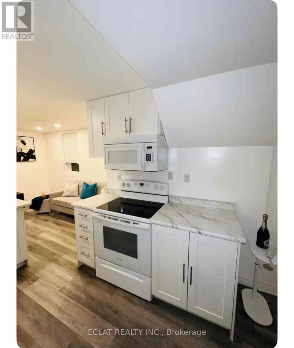 23 Riehm Street, Kitchener, Ontario  N2E 4L1 - Photo 37 - X12121577