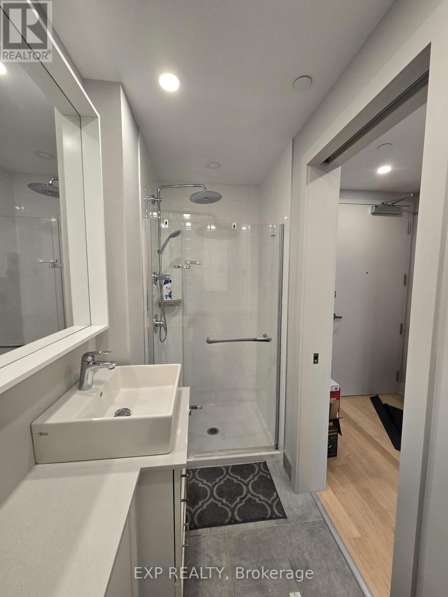 313 - 60 Springhurst Avenue, Ottawa, Ontario  K1S 5V8 - Photo 15 - X12121706