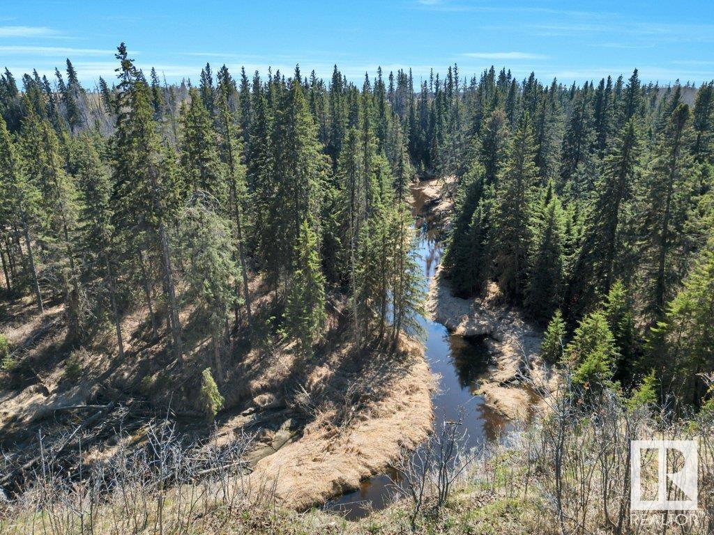 29 240073 Twp Rd 471, Rural Wetaskiwin County, Alberta  T9A 1X1 - Photo 52 - E4434257