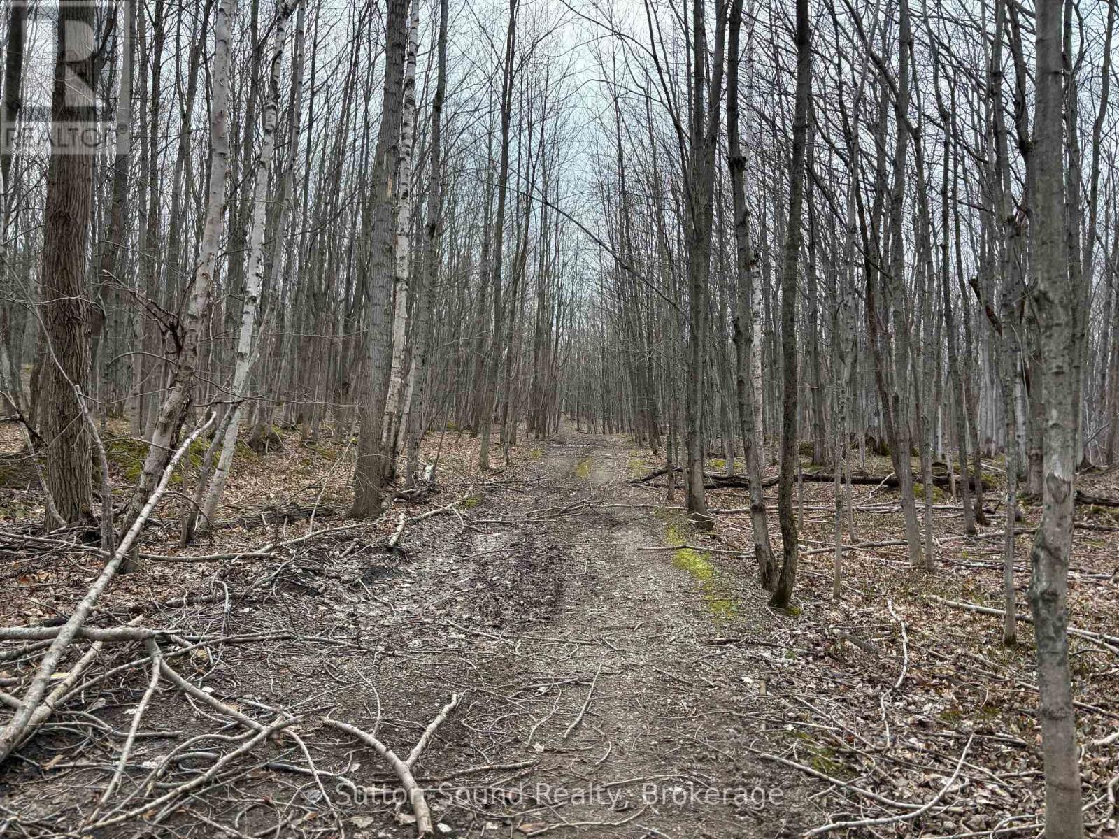 Pt Lt 9 Con 14 Ebr Pt 27 Concession, Northern Bruce Peninsula, Ontario  N0H 1W0 - Photo 11 - X12121907