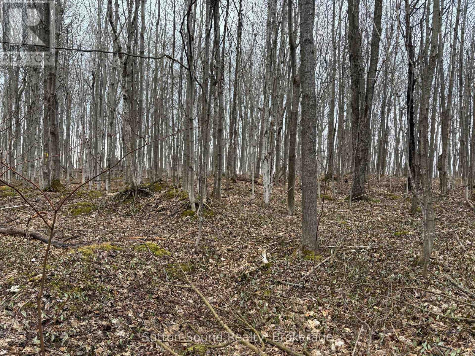 Pt Lt 9 Con 14 Ebr Pt 27 Concession, Northern Bruce Peninsula, Ontario  N0H 1W0 - Photo 4 - X12121907