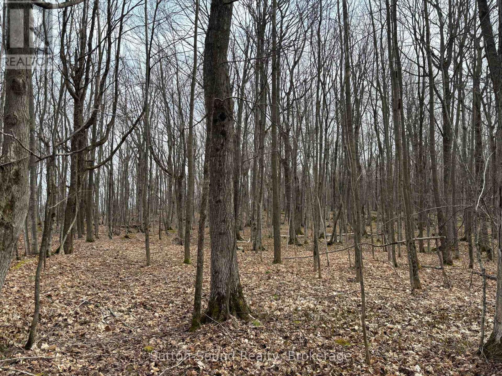 Pt Lt 9 Con 14 Ebr Pt 27 Concession, Northern Bruce Peninsula, Ontario  N0H 1W0 - Photo 5 - X12121907