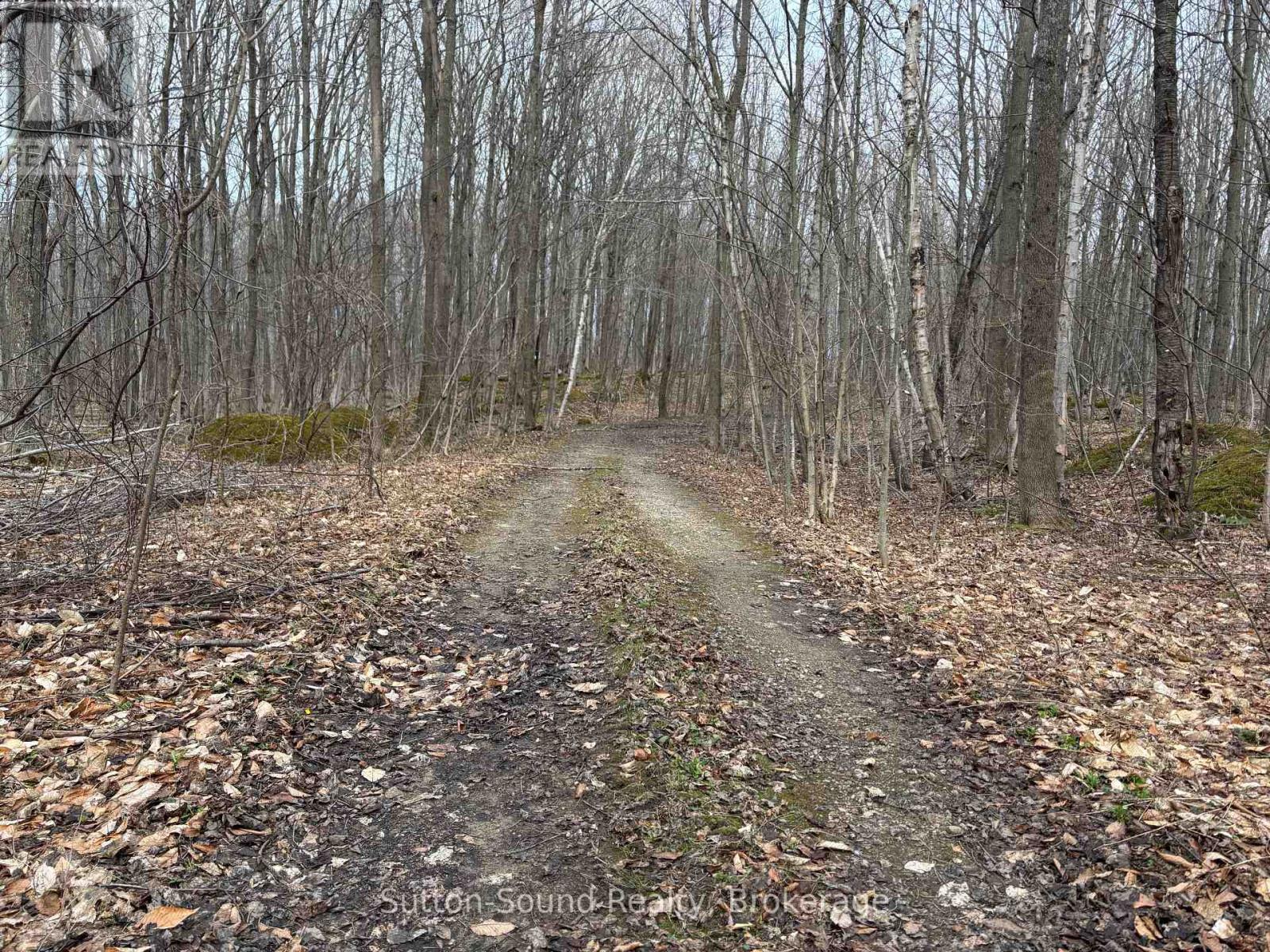 Pt Lt 9 Con 14 Ebr Pt 33 Concession, Northern Bruce Peninsula, Ontario  N0H 1W0 - Photo 12 - X12121908