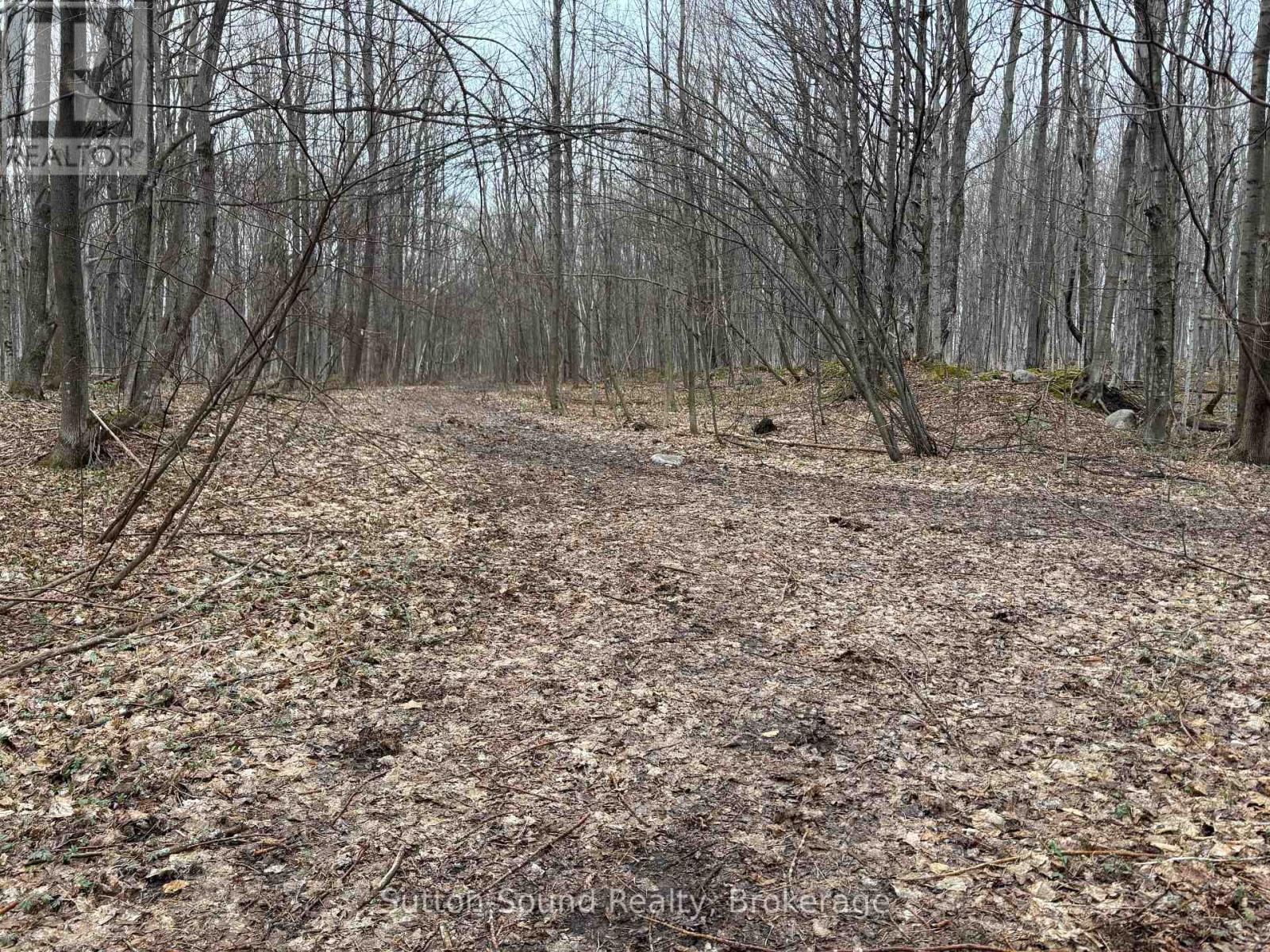 Pt Lt 9 Con 14 Ebr Pt 33 Concession, Northern Bruce Peninsula, Ontario  N0H 1W0 - Photo 6 - X12121908