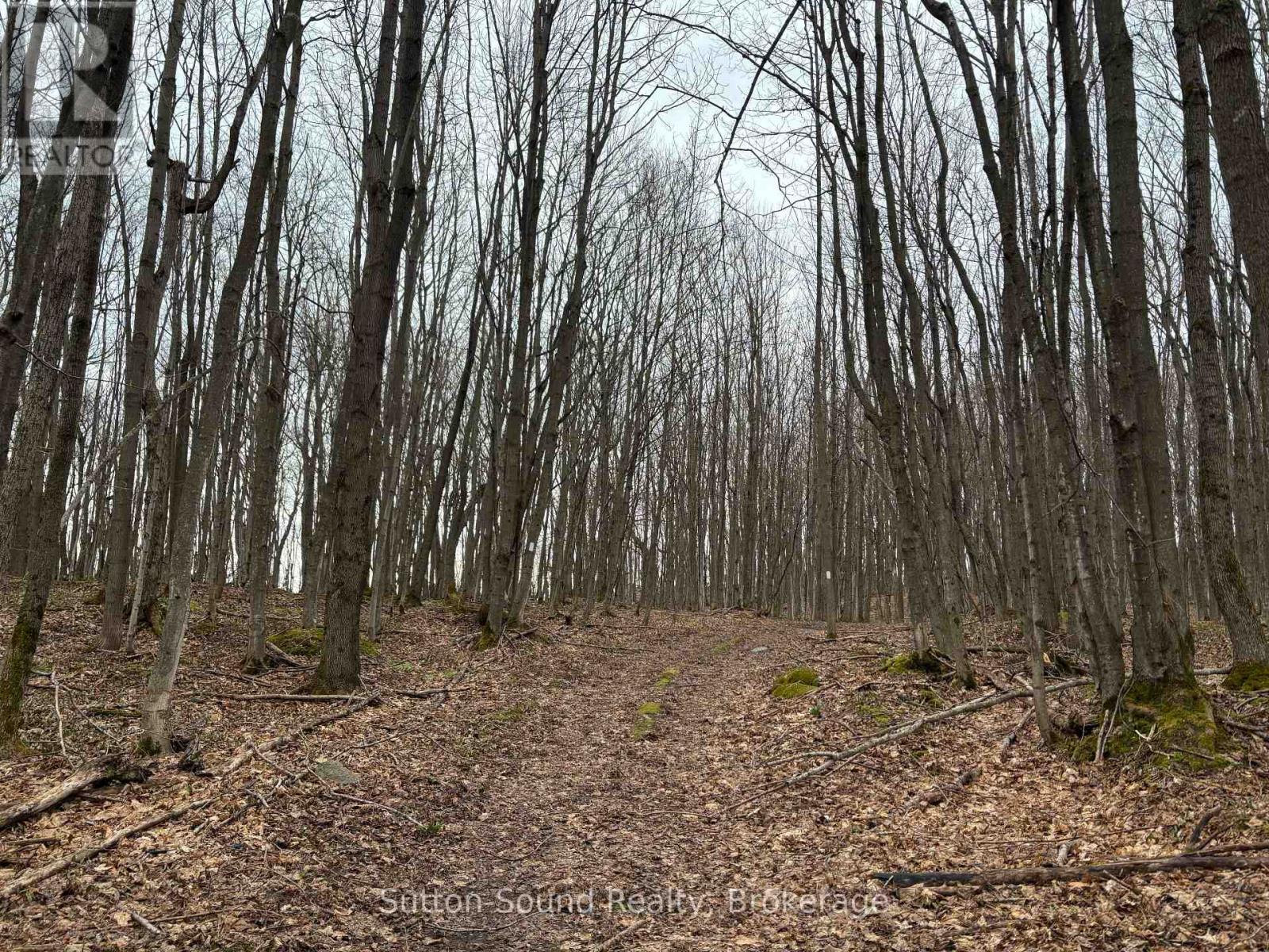 Pt Lt 9 Con 14 Ebr Pt 33 Concession, Northern Bruce Peninsula, Ontario  N0H 1W0 - Photo 7 - X12121908