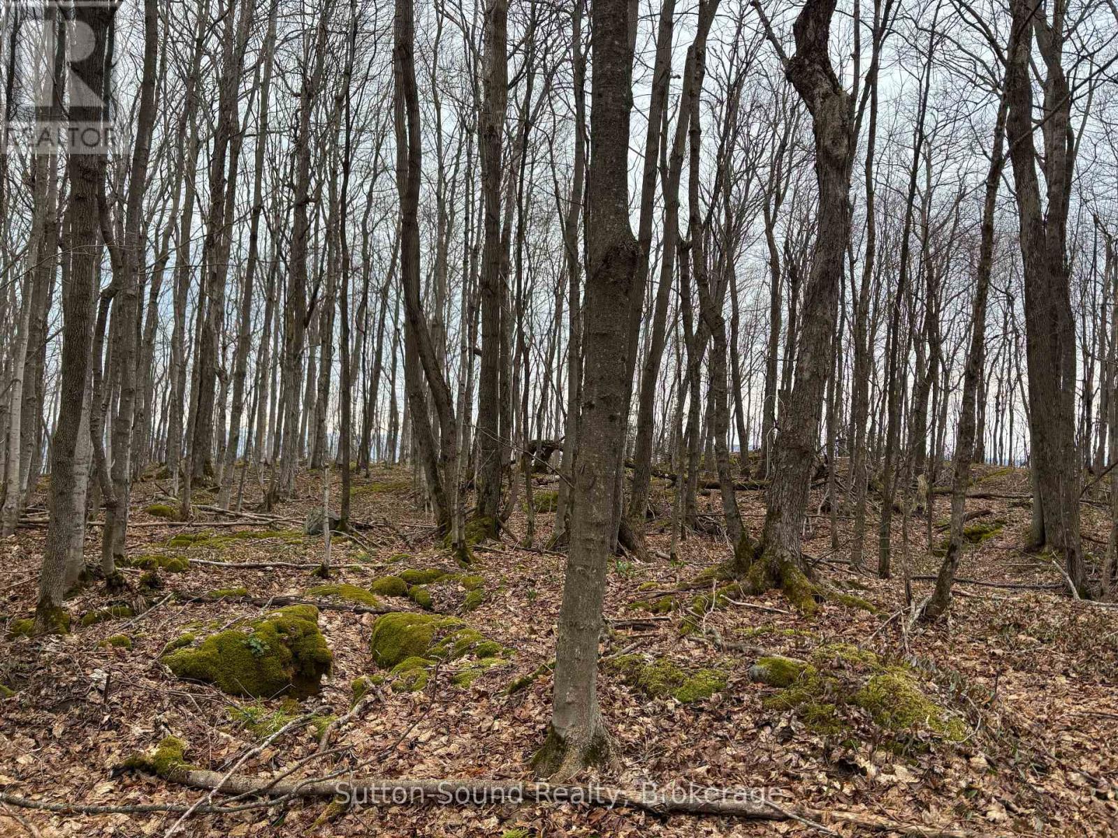 Pt Lt 9 Con 14 Ebr Pt 33 Concession, Northern Bruce Peninsula, Ontario  N0H 1W0 - Photo 8 - X12121908