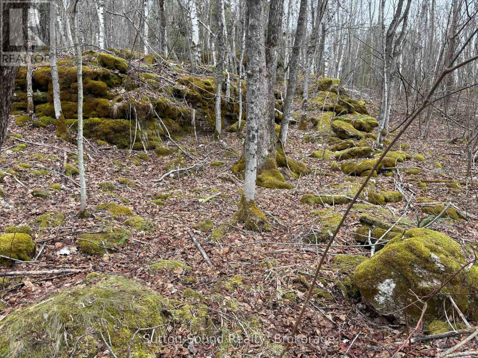 Pt Lt 9 Con 14 Ebr Pt 9 Concession, Northern Bruce Peninsula, Ontario  N0H 1W0 - Photo 8 - X12121909