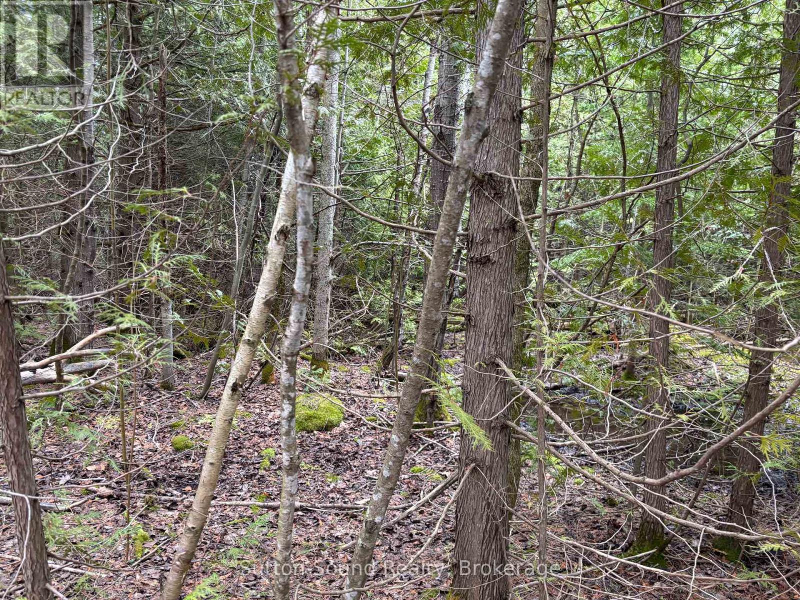 Pt Lt 9 Con 14 Ebr Pt 5 Concession, Northern Bruce Peninsula, Ontario  N0H 1W0 - Photo 11 - X12121912