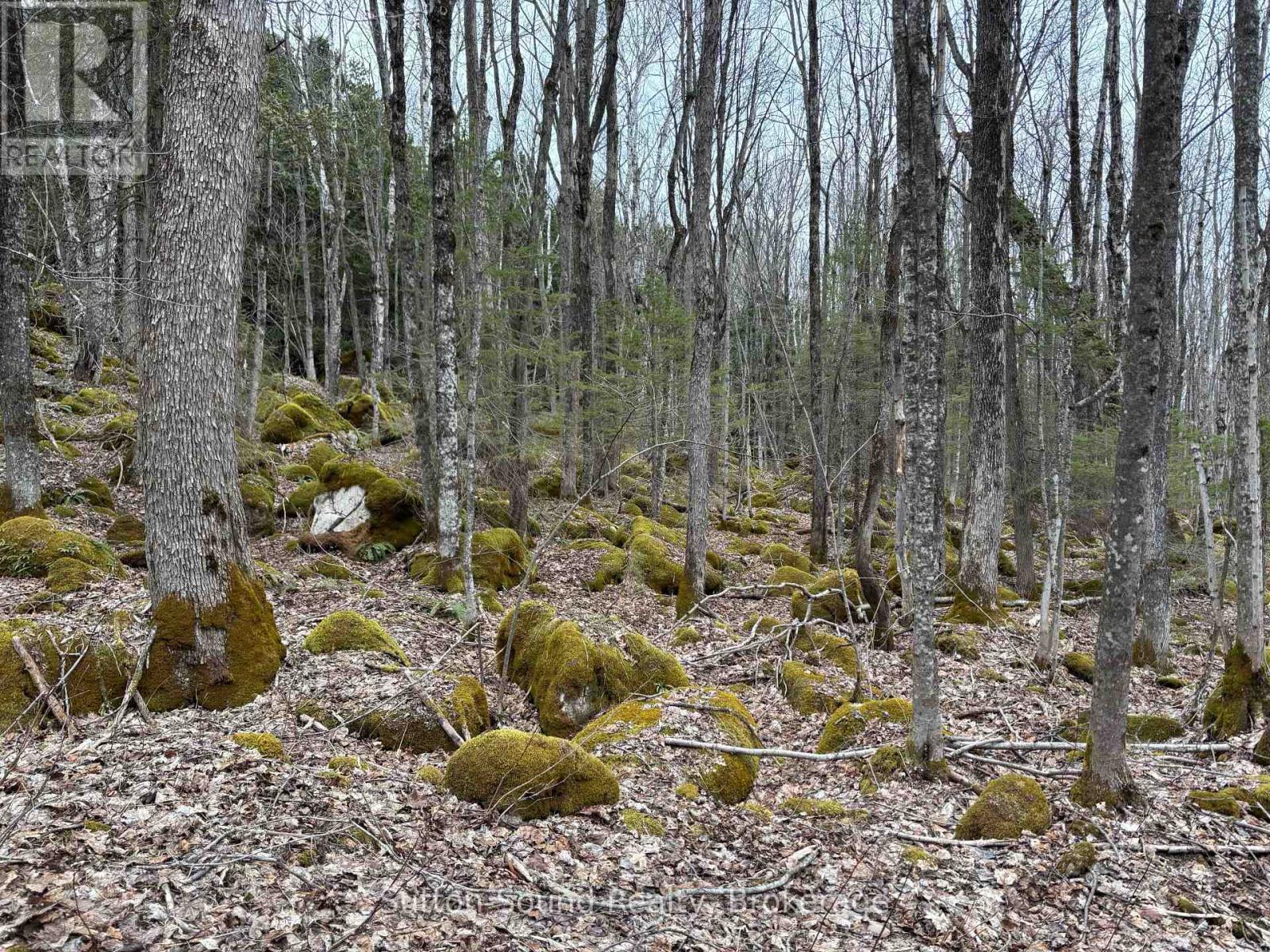 Pt Lt 9 Con 14 Ebr Pt 5 Concession, Northern Bruce Peninsula, Ontario  N0H 1W0 - Photo 8 - X12121912