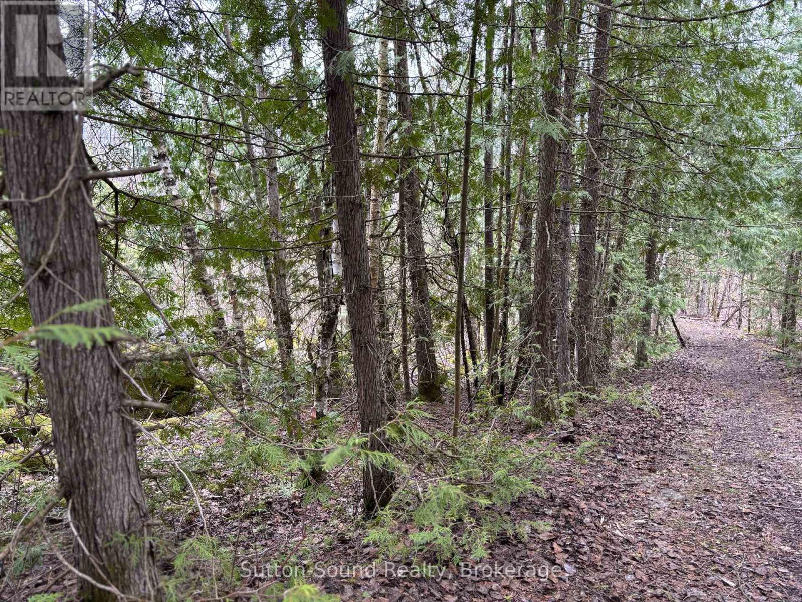 Pt Lt 9 Con 14 Ebr Pt 12 Concession, Northern Bruce Peninsula, Ontario  N0H 1W0 - Photo 11 - X12121914