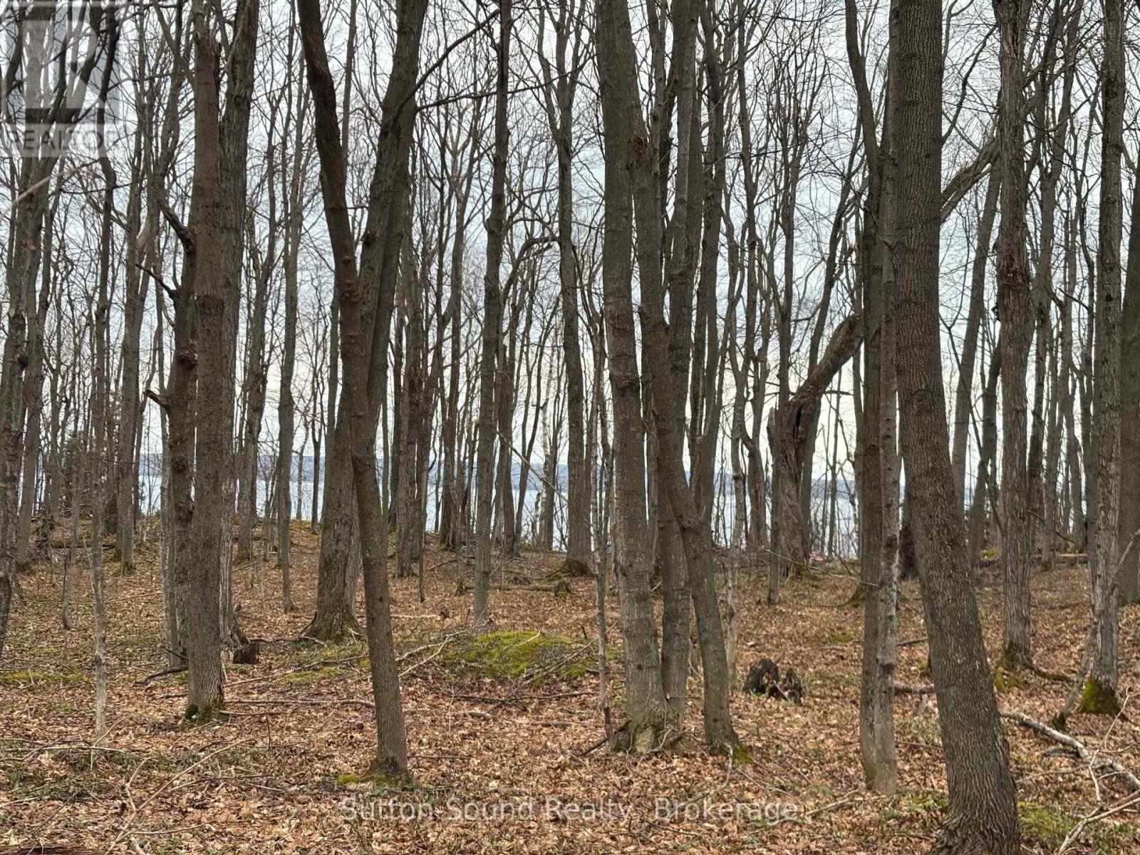 Pt Lt 9 Con 14 Ebr Pt 26 Concession, Northern Bruce Peninsula, Ontario  N0H 1W0 - Photo 10 - X12121920