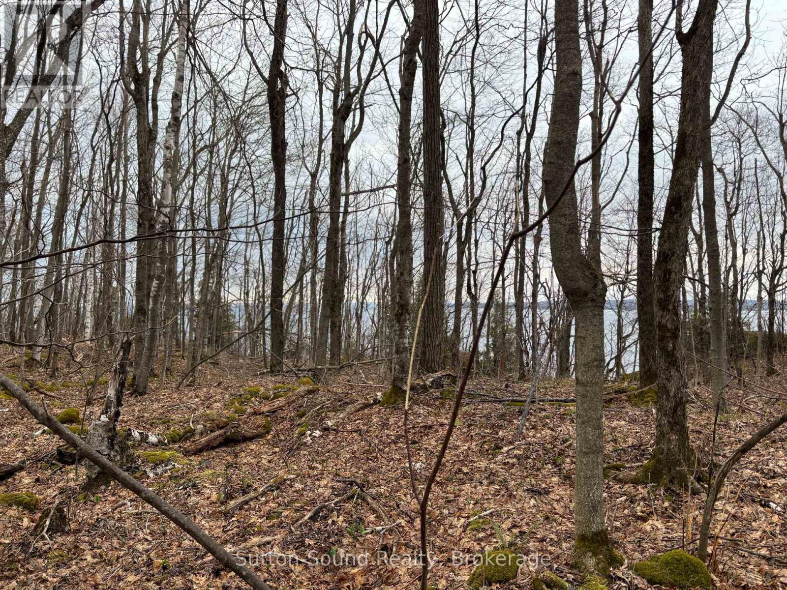 Pt Lt 9 Con 14 Ebr Pt 26 Concession, Northern Bruce Peninsula, Ontario  N0H 1W0 - Photo 8 - X12121920