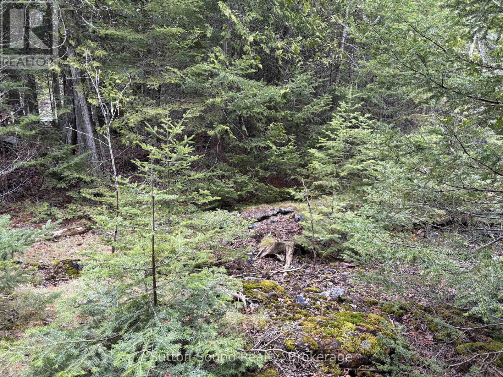 Pt Lt35 Con 3 Wbr Pt 77 Concession, Northern Bruce Peninsula, Ontario  N0H 1W0 - Photo 12 - X12121926
