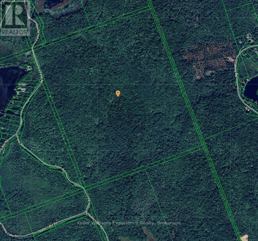 0 Peter Road, Bracebridge, Ontario  P1L 1X3 - Photo 3 - X12115494