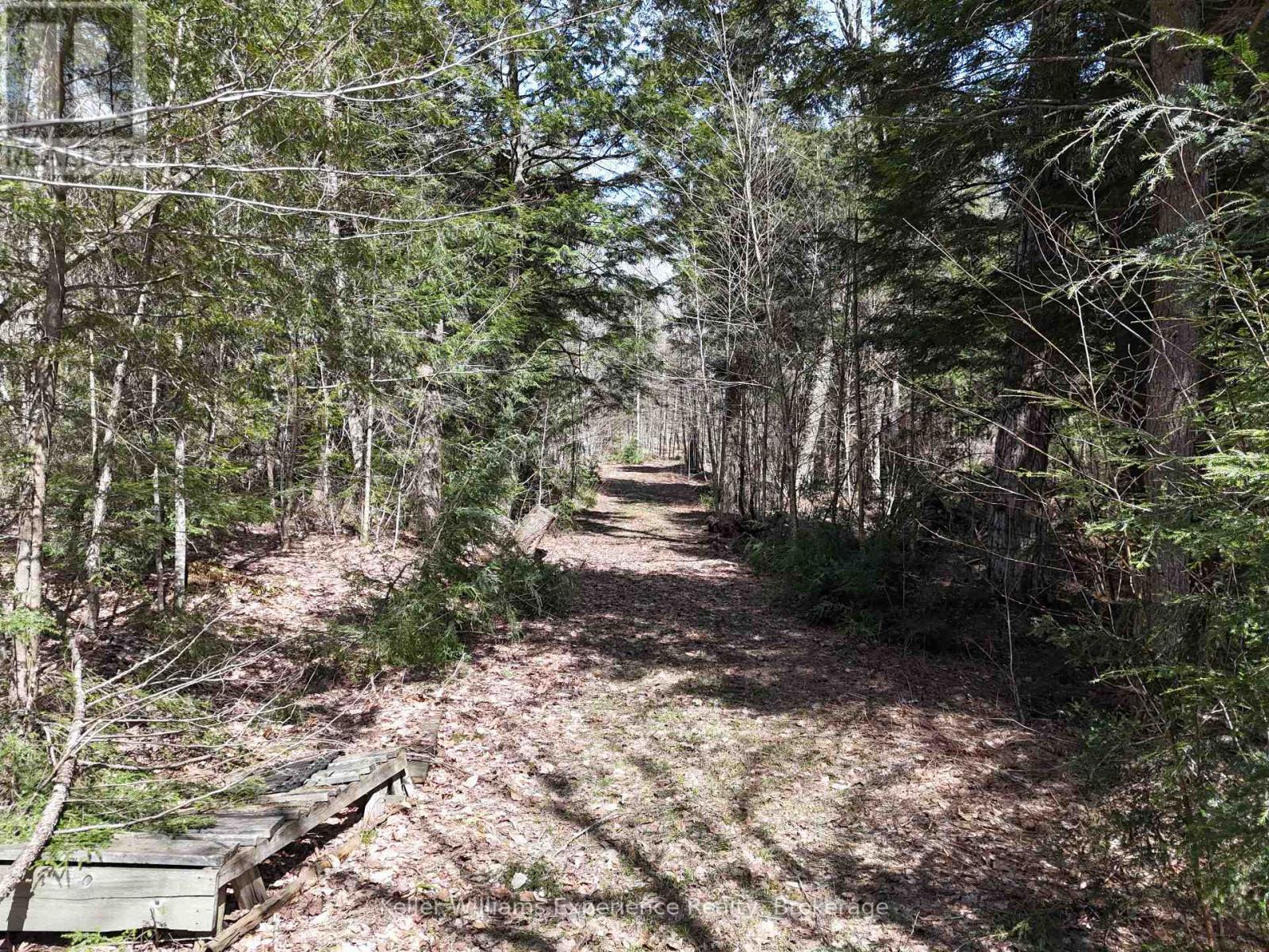 0 Peter Road, Bracebridge, Ontario  P1L 1X3 - Photo 5 - X12115494