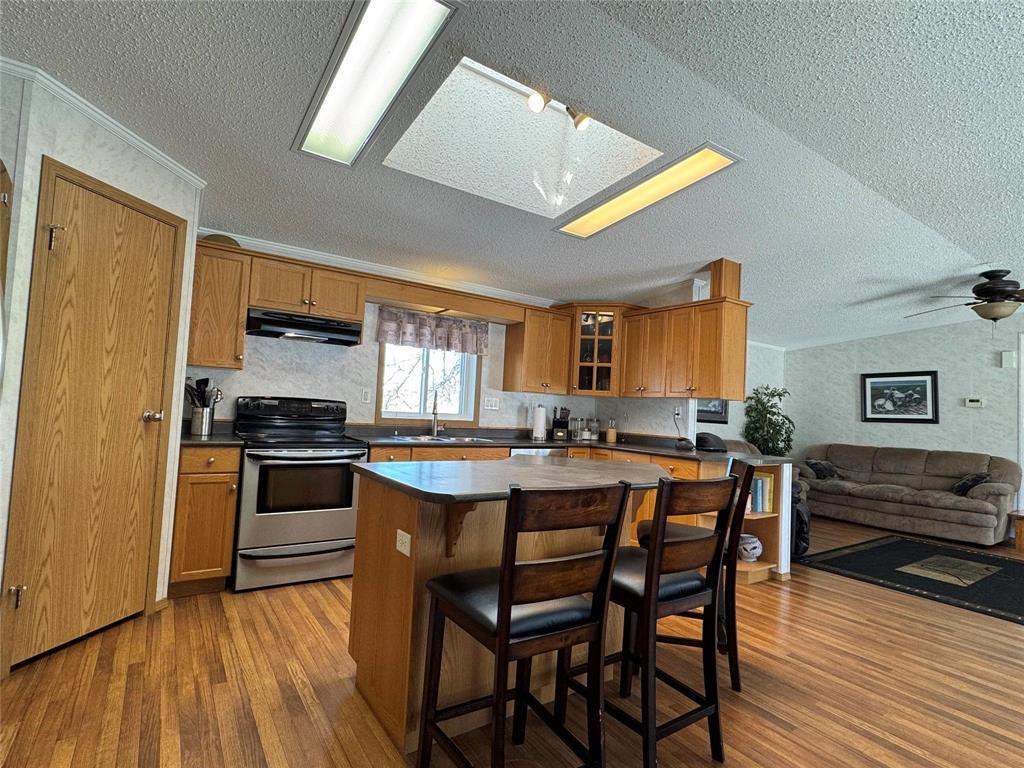 350 2nd Avenue E, Minitonas, Manitoba  R0L 1G0 - Photo 10 - 202505379