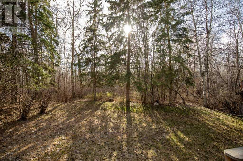 645 Fox Crescent, Sunbreaker Cove, Alberta  T4S 1R6 - Photo 12 - A2216264