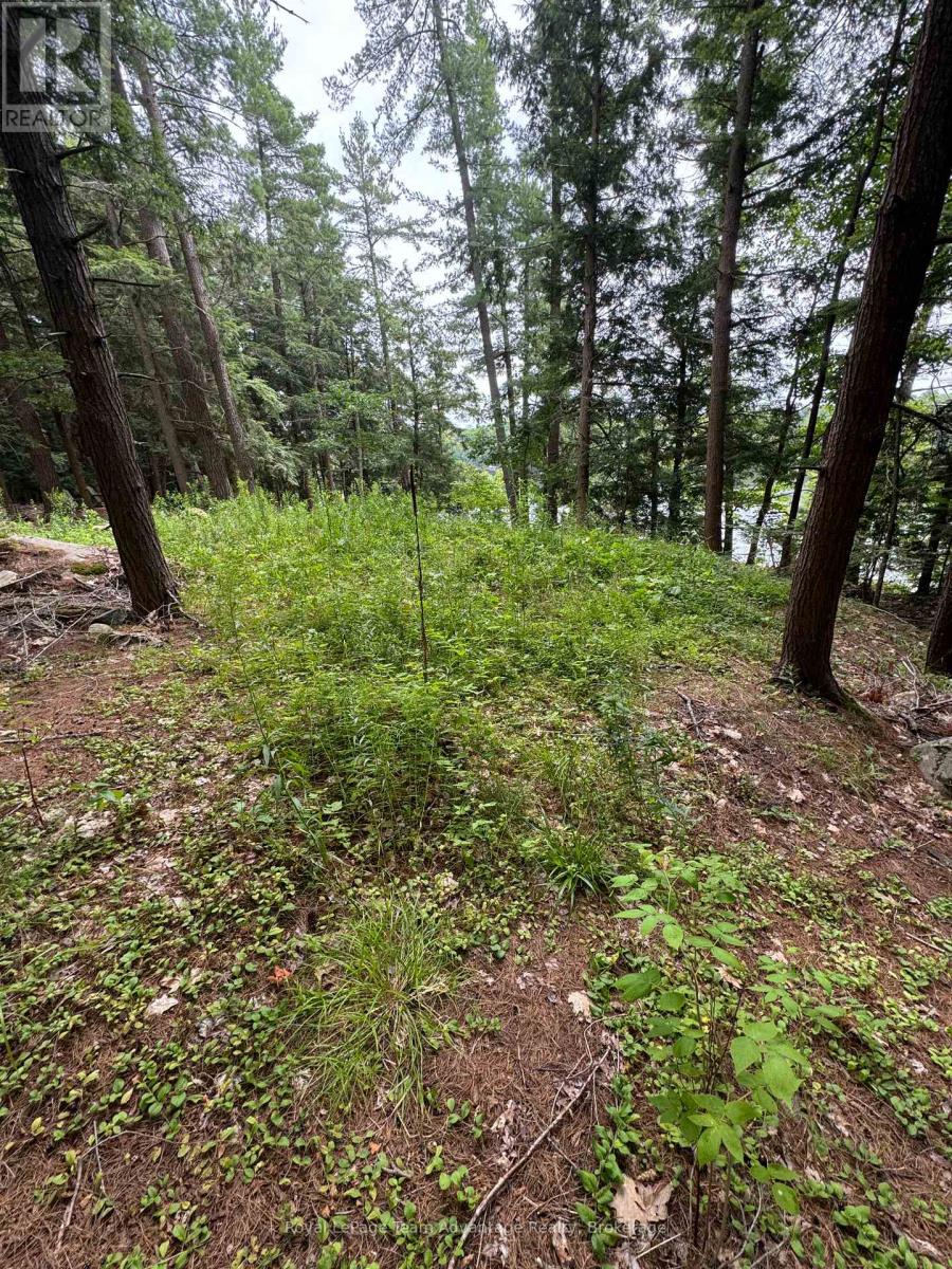 81 Amorak Trail, Whitestone, Ontario  P0A 1G0 - Photo 21 - X12122151