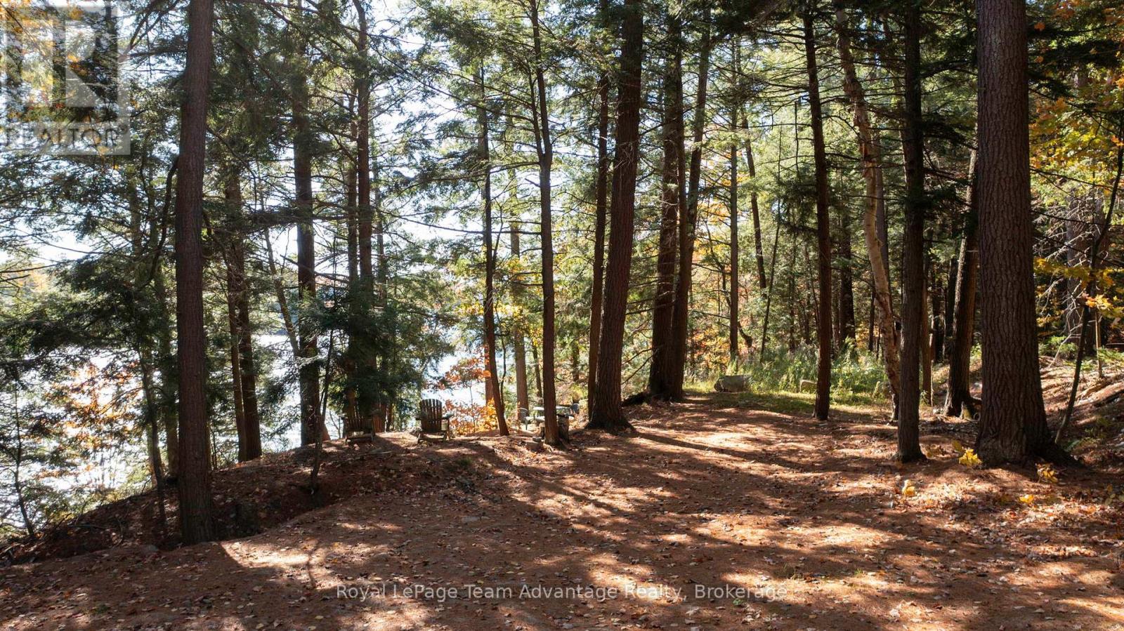 81 Amorak Trail, Whitestone, Ontario  P0A 1G0 - Photo 3 - X12122151