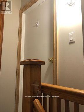 Property at 115 AGNES STREET image 5