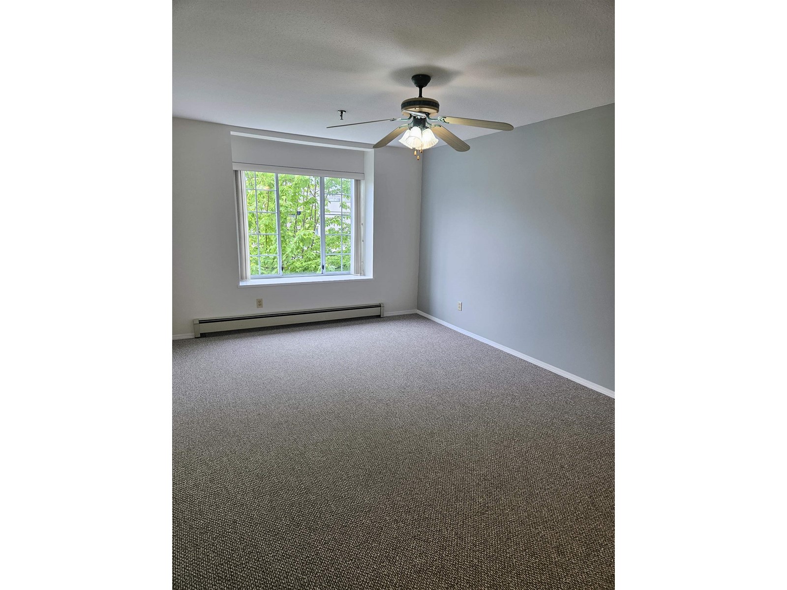 218 33535 King Road, Abbotsford, British Columbia  V2S 6Z5 - Photo 12 - R2996481