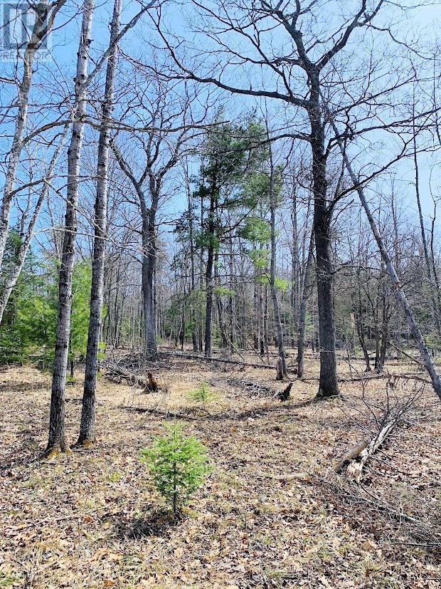 Pl29c2 Allan Checkerboard Lane, Gore Bay, Ontario  P0P 1H0 - Photo 6 - 2122021