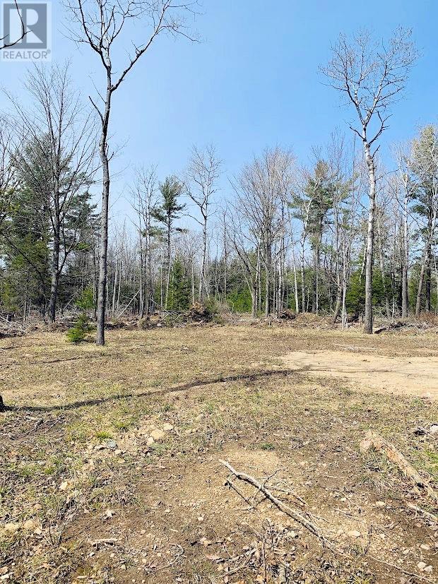 Pl29c2 Allan Checkerboard Lane, Gore Bay, Ontario  P0P 1H0 - Photo 8 - 2122021