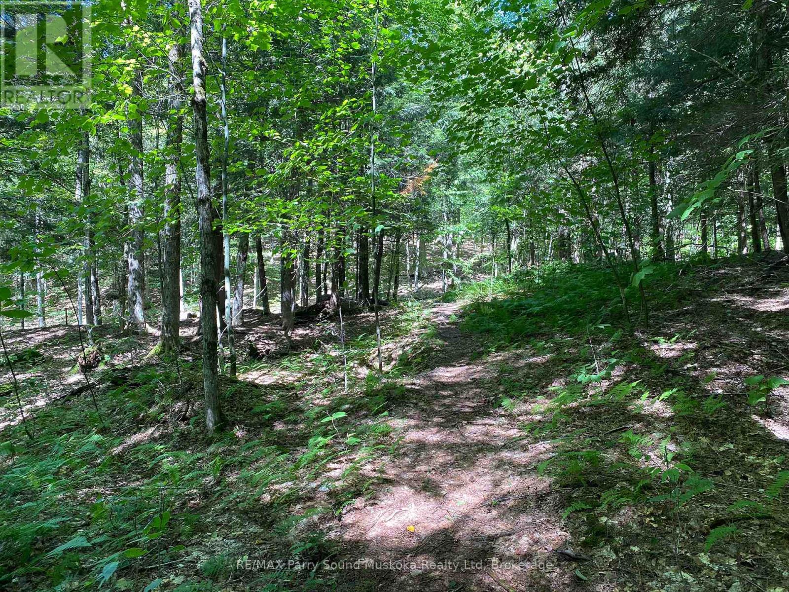 6 - 22 Gryffin Bluffs Lane, Huntsville, Ontario  P0B 1M0 - Photo 41 - X12122266