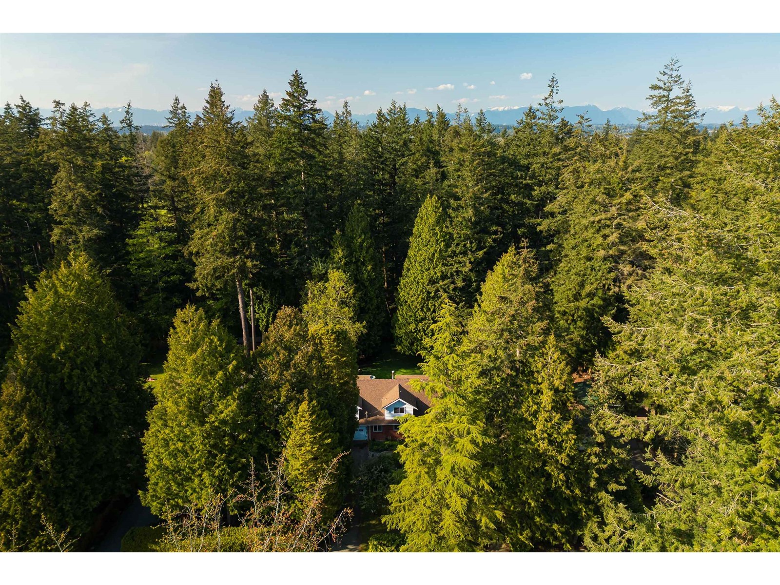 Property at 13181 24 AVENUE image 2