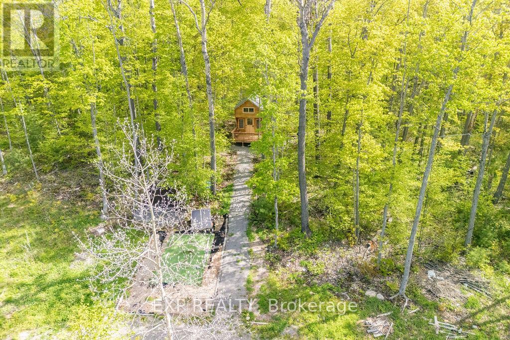 178 Maplegrove Lane, North Algona Wilberforce, Ontario  K0J 1T0 - Photo 10 - X12033254