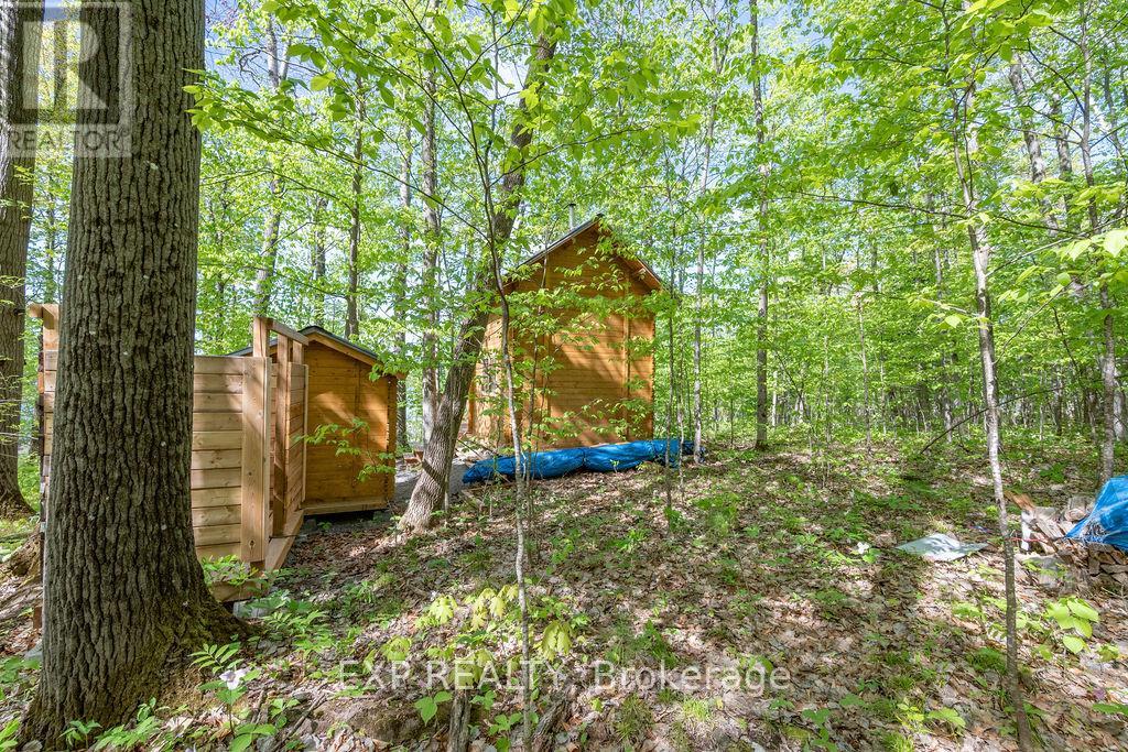 178 Maplegrove Lane, North Algona Wilberforce, Ontario  K0J 1T0 - Photo 15 - X12033254