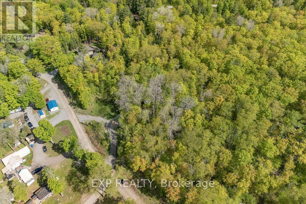 178 Maplegrove Lane, North Algona Wilberforce, Ontario  K0J 1T0 - Photo 44 - X12033254