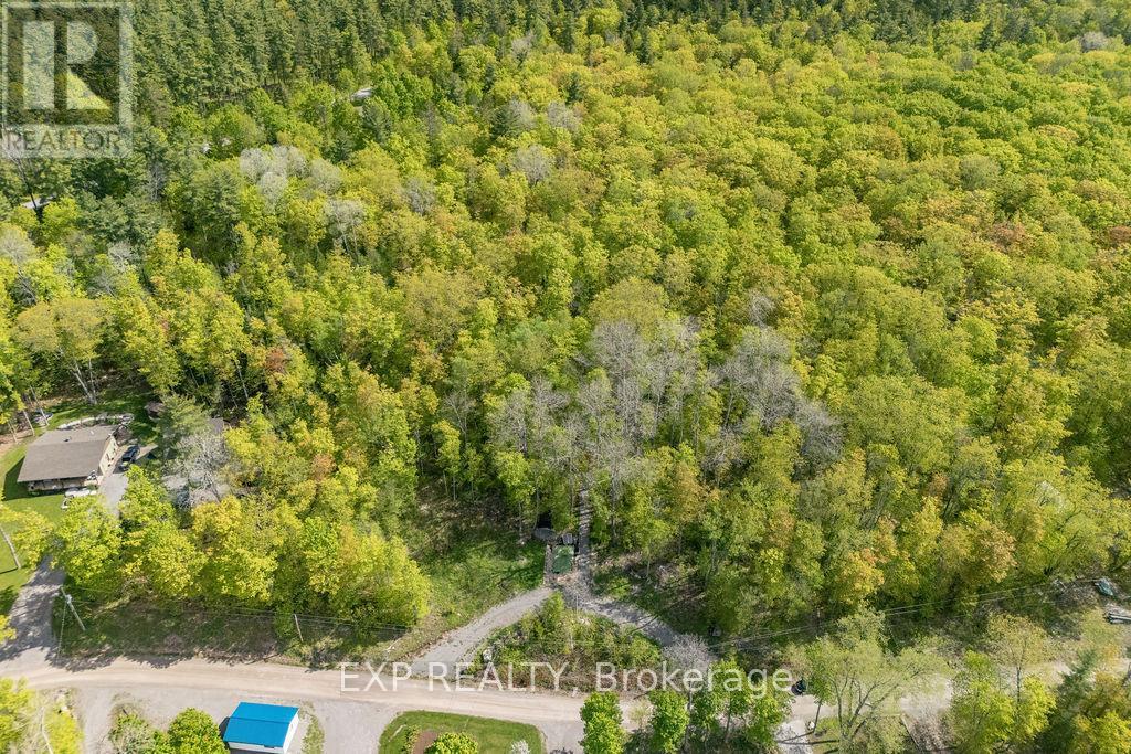 178 Maplegrove Lane, North Algona Wilberforce, Ontario  K0J 1T0 - Photo 43 - X12033254