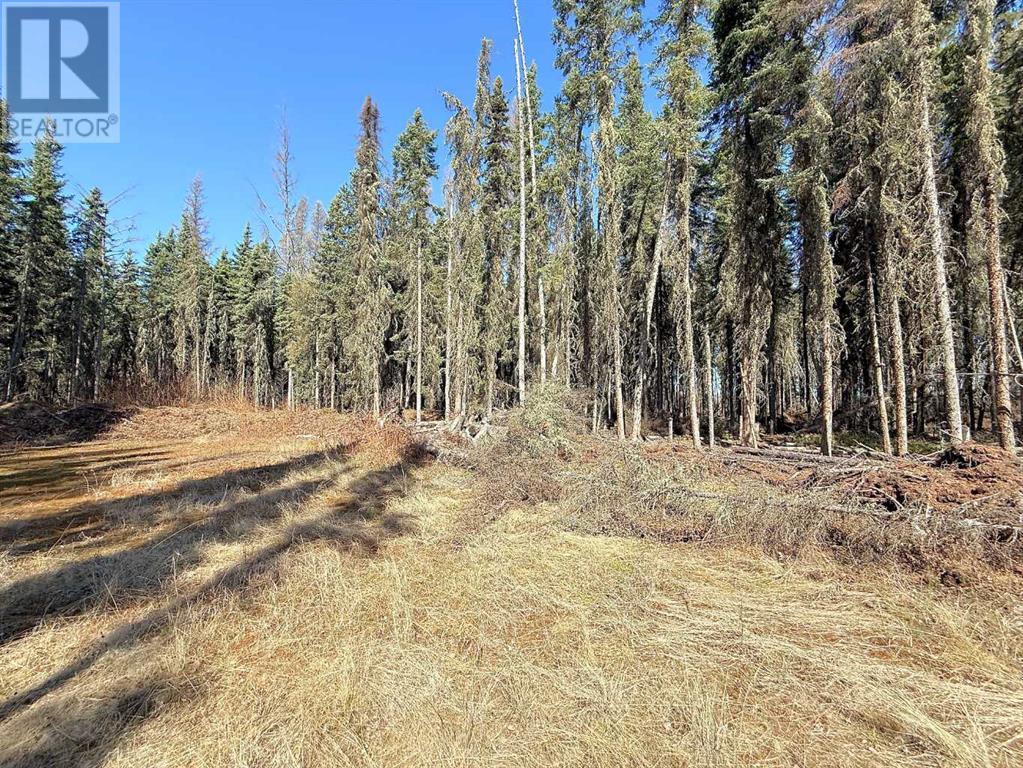 Part Of Nw-22-67-22-W4, Rural Athabasca County, Alberta  T9S 2B7 - Photo 9 - A2216874