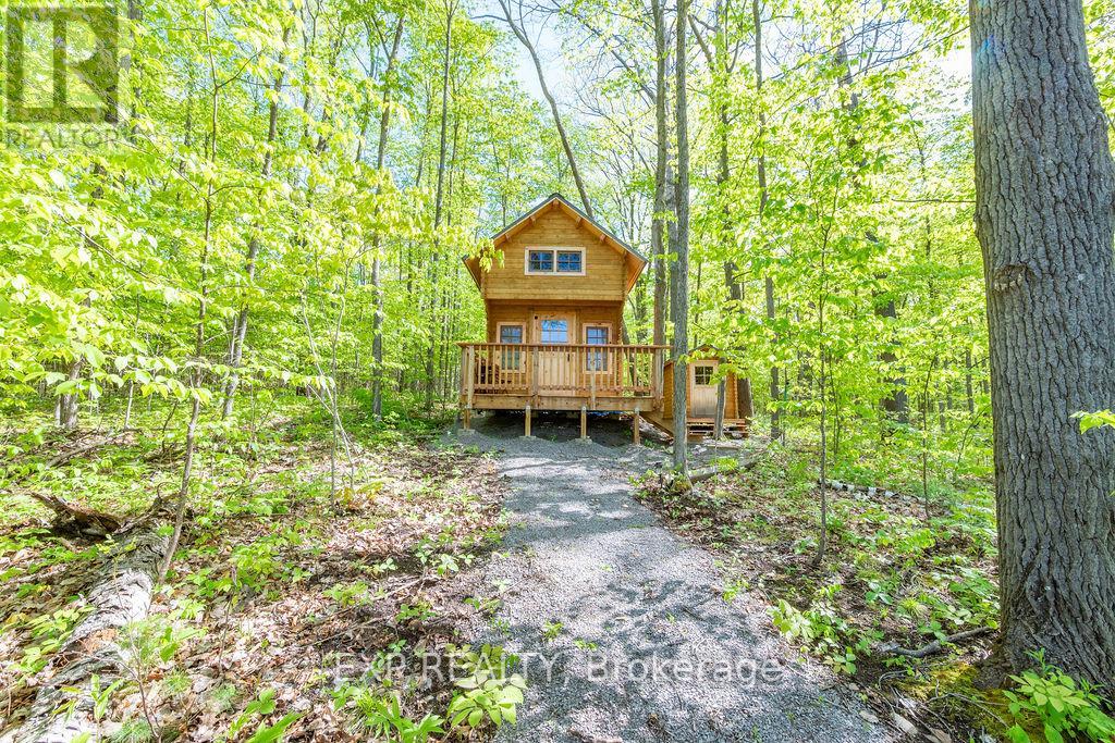 178 Maplegrove Lane, North Algona Wilberforce, Ontario  K0J 1T0 - Photo 5 - X12033254
