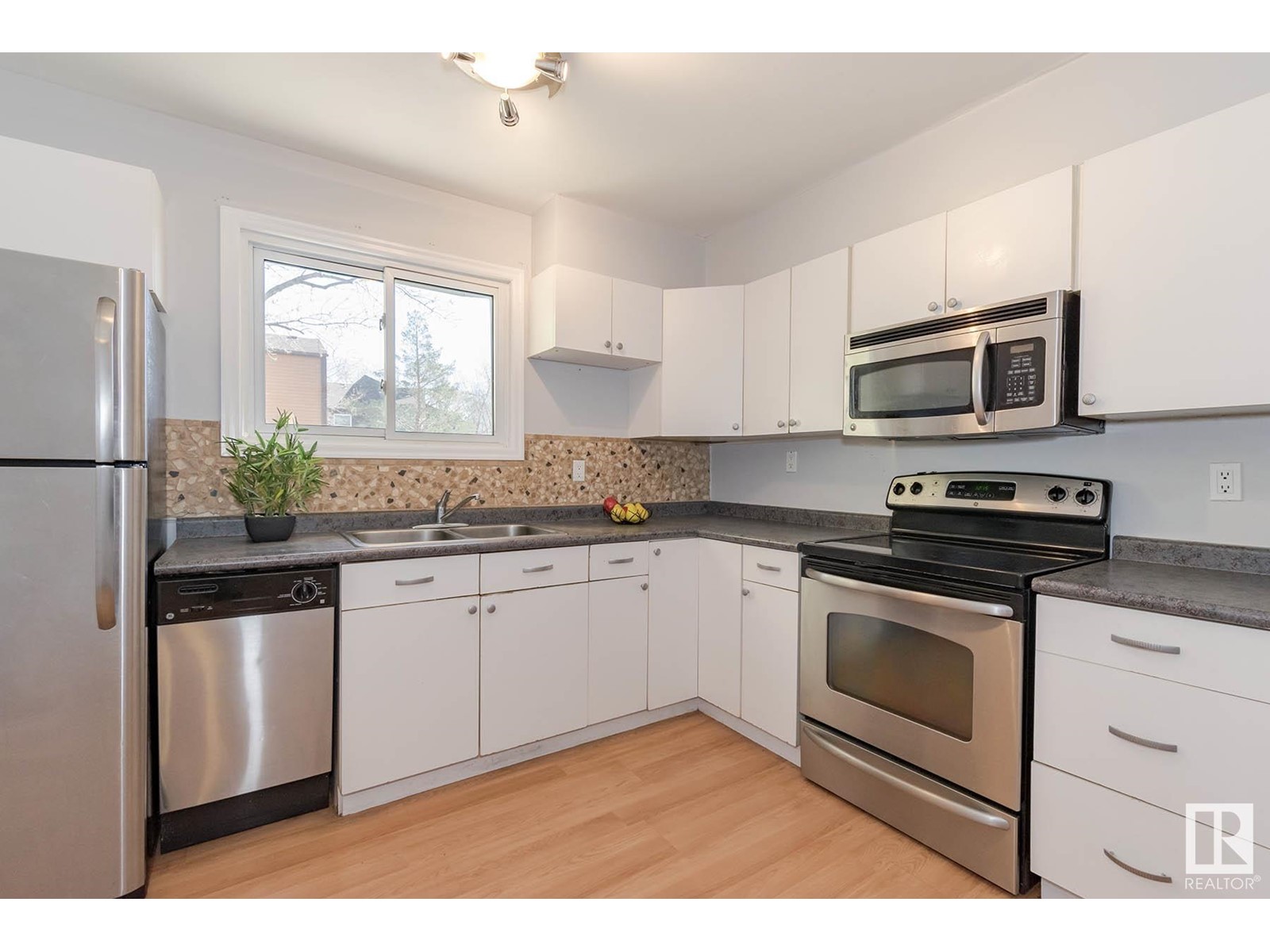 8041 27 Av Nw, Edmonton, Alberta  T6K 3Z1 - Photo 4 - E4434353