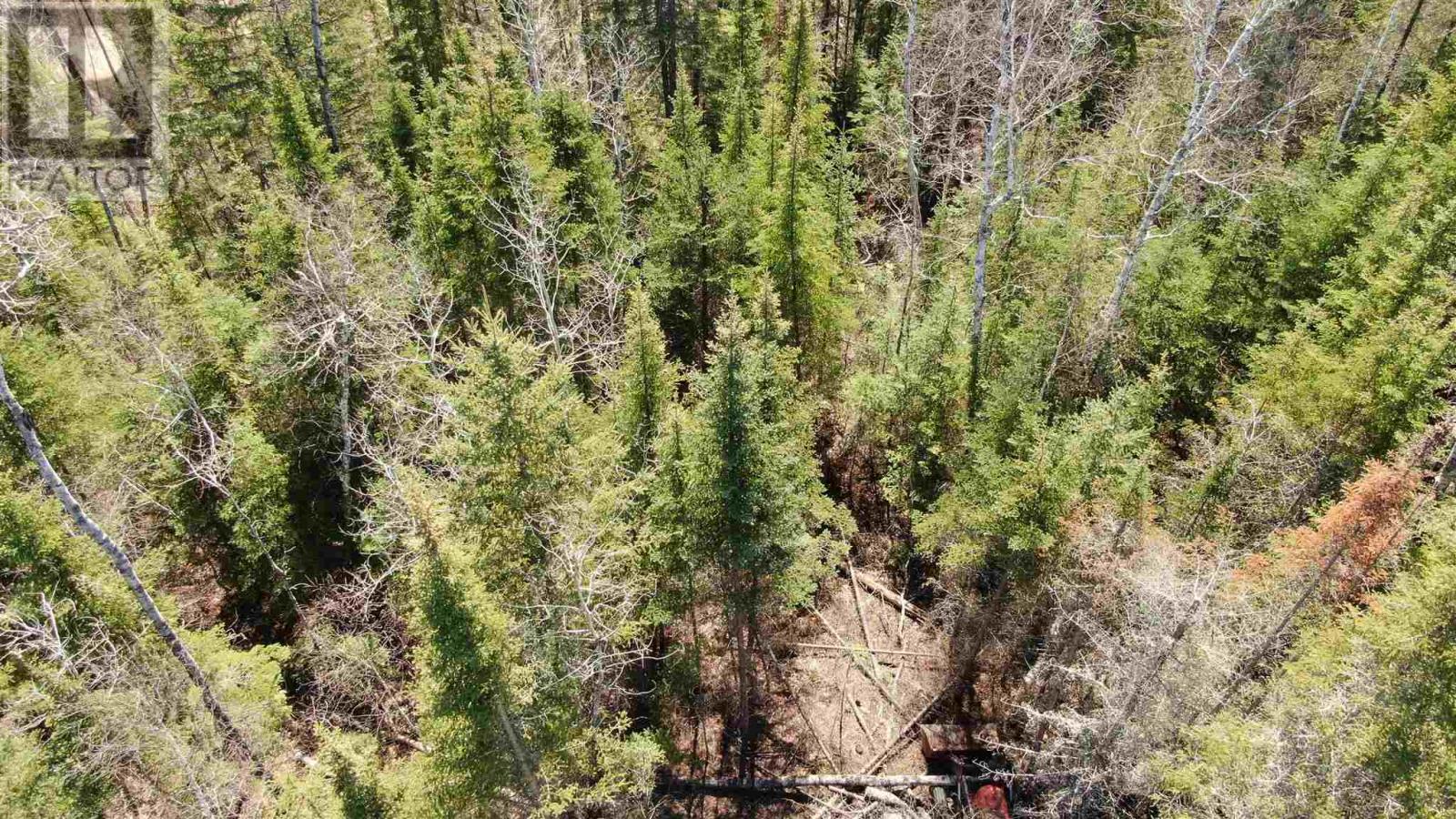 Lot 152 Plan M222, Minaki, Ontario  P0X 1J0 - Photo 34 - TB250065